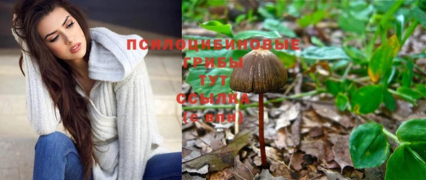 амф Белокуриха