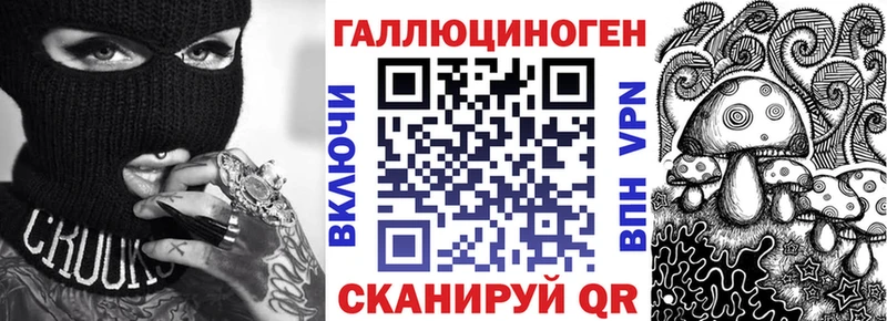 Купить где  Карабулак  Псилоцибиновые грибы Psilocybine cubensis 